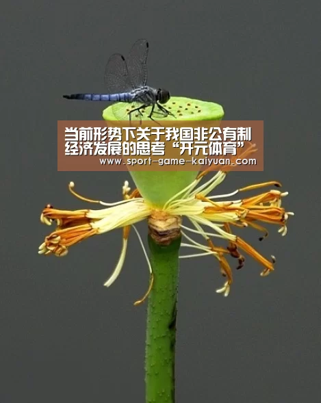 开元体育