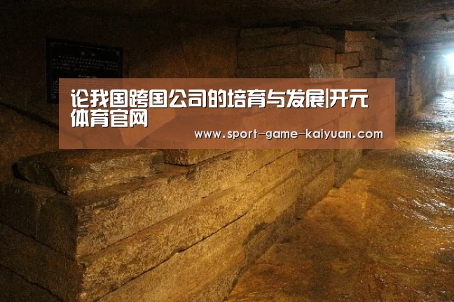 论我国跨国公司的培育与发展|开元体育官网(图2) 开元体育