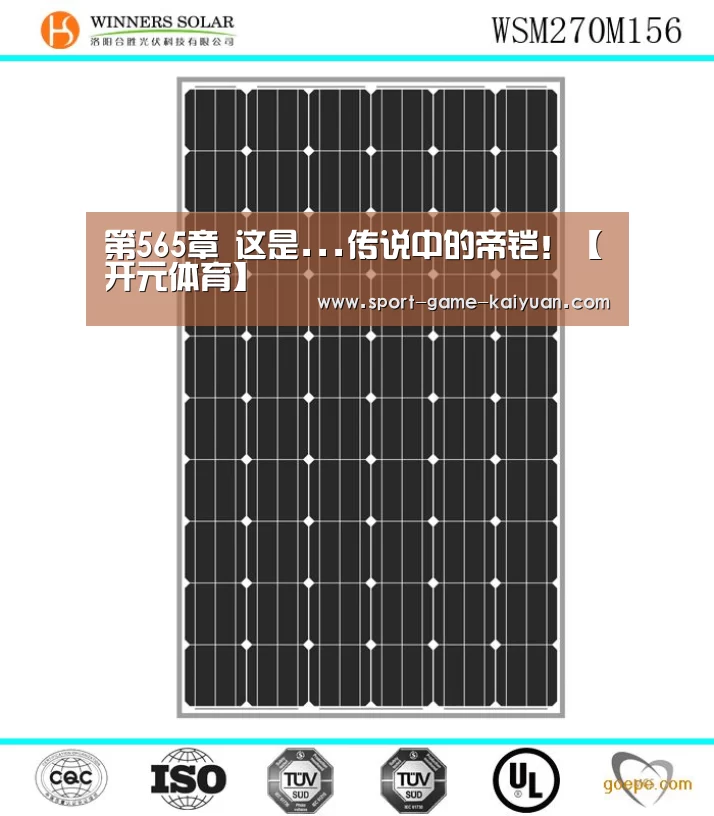 第565章 这是...传说中的帝铠!【开元体育】(图1) 开元体育官网